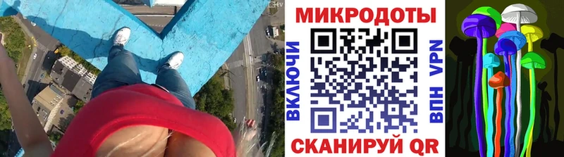Галлюциногенные грибы Psilocybe  Агрыз 